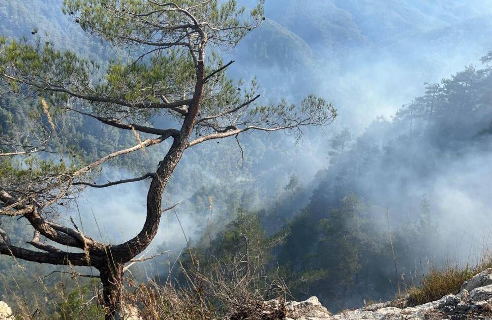 Hatay’da 23 saat süren yangına havadan müdahale