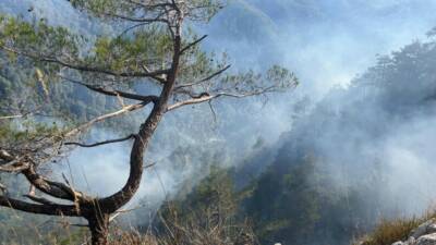 Hatay’da 23 saat süren orman yangınına, günün ağarmasıyla birlikte havadan