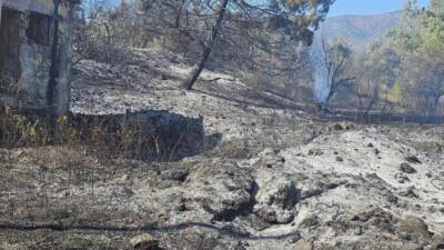 Hatay’ın Antakya ilçesine bağlı Ekinci Mahallesi’nde bir bahçede çıkan yangın,