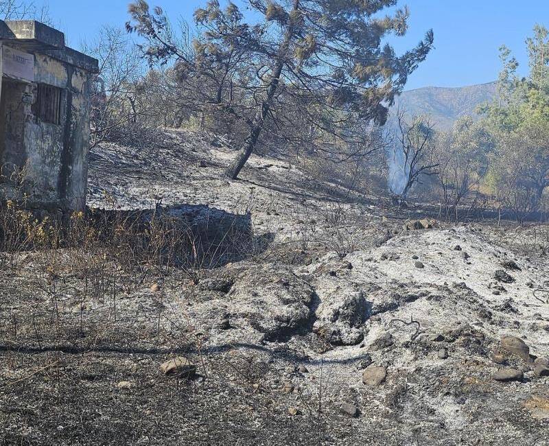 Hatay’ın Antakya ilçesine bağlı