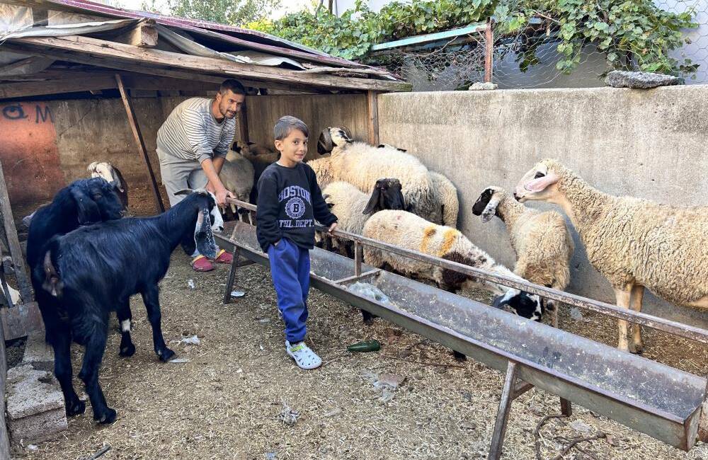 Hatay’da arabasını satarak hayvancılığa