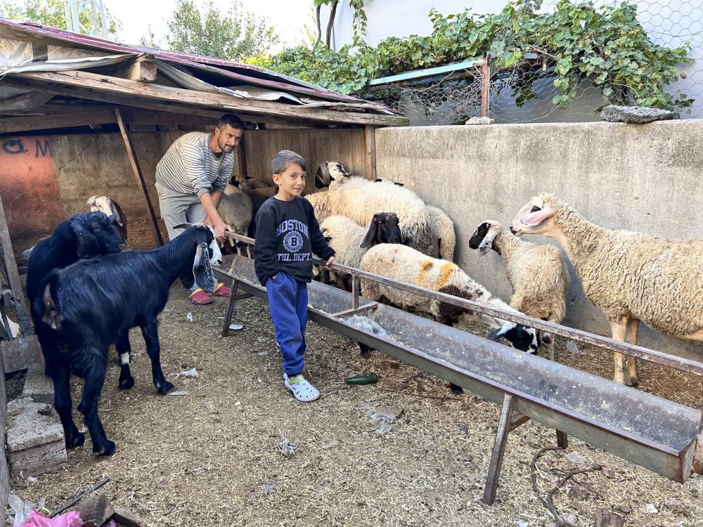 Depremzede baba, hırsızların elinden koyunlarını geri aldı