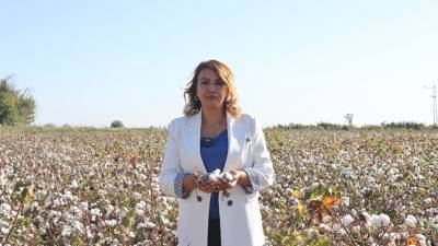 Cumhuriyet Halk Partisi Hatay Milletvekili Nermin Yıldırım Kara, Hatay’daki pamuk