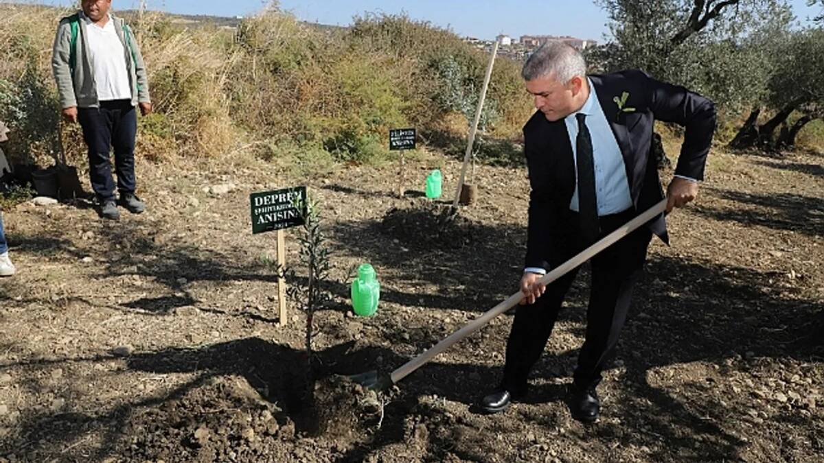 Altınözü’nde Zeytin Fidanları Şehitler Anısına Dikildi