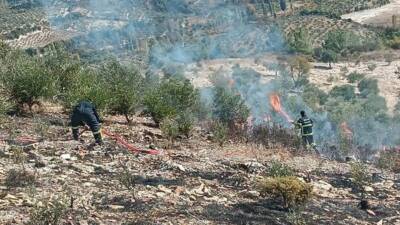 Hatay’ın Yayladağı ilçesinde sabah saatlerinde başlayan zeytinlik yangını, itfaiye ekiplerinin
