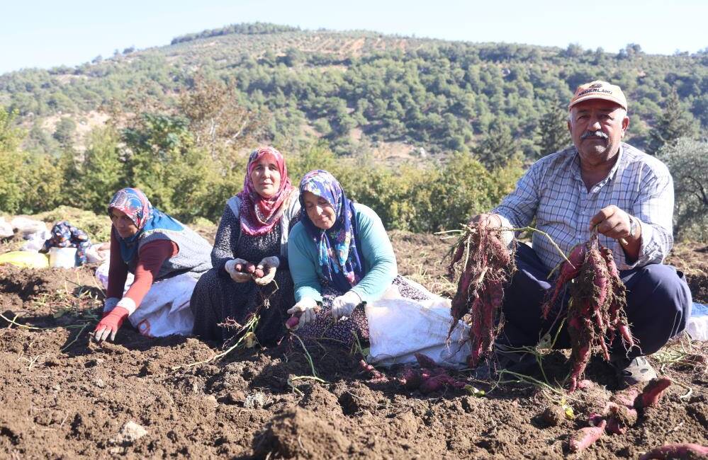 Hatay’da depremin izlerini üretimle