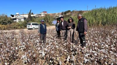 Antakya Belediyesi Çevre ve Sıfır Atık Müdürlüğü ekipleri, Alaaddin Mahallesi’nde