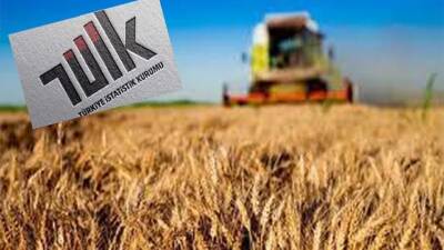 Türkiye İstatistik Kurumu (TÜİK), Eylül 2024 dönemine ilişkin tarım ürünleri