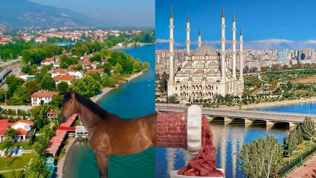 Türkiye’de En Fazla At ve Eşek Eti Satılan İller: Adana ve Sakarya