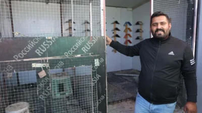 Hatay’da yaşayan Mehmet Çiftçiler, 300 güvercini için 5 katlı apartmanın