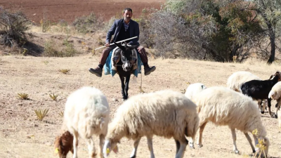 Türkiye, hayvancılık alanında dünya standartlarının gerisinde kalırken, çobanlık artık kalburüstü