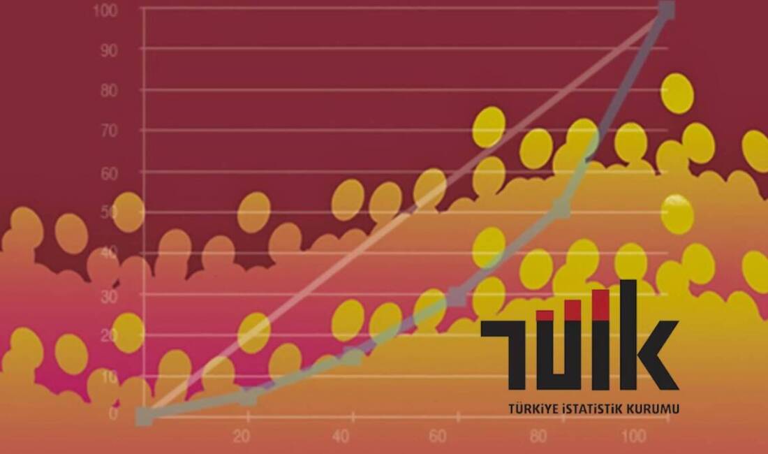 TÜİK, Gelir ve Yaşam