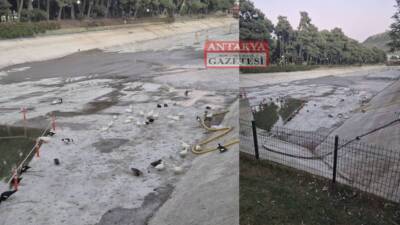 Hatay’ın Defne ilçesinde bulunan Harbiye Hidro Atatürk Parkı’nda üç hafta