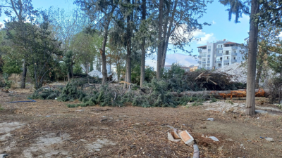*) Hatay’ın yeniden ihya ve inşa sürecinde çevrecilerin büyük tepkisini