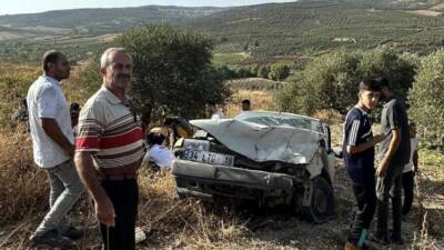 Hatay’ın Altınözü ilçesinde, Çetenli ve Alakent mahallelerini birbirine bağlayan yolda