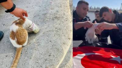 Antakya’nın Aksaray Mahallesi’nde, kafasını konserve kutusuna sıkıştırarak zor durumda kalan