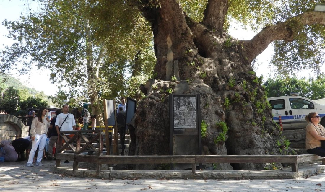 Kahramanmaraş ve Hatay depremlerinden