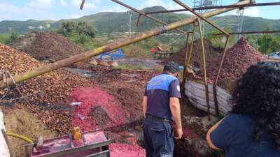 &nbsp; Hatay Büyükşehir Belediyesi (HBB), vatandaşların şikayetleri üzerine nar ekşisi