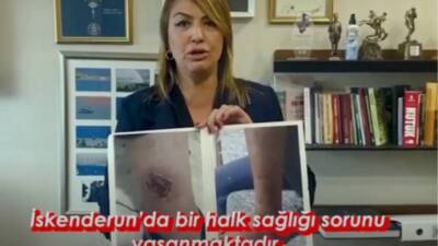 Hatay Milletvekili Nermin Yıldırım Kara, İskenderun limanındaki Limak Port’ta gerçekleştirilen