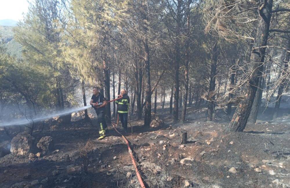   Hatay’da, Antakya ilçesine