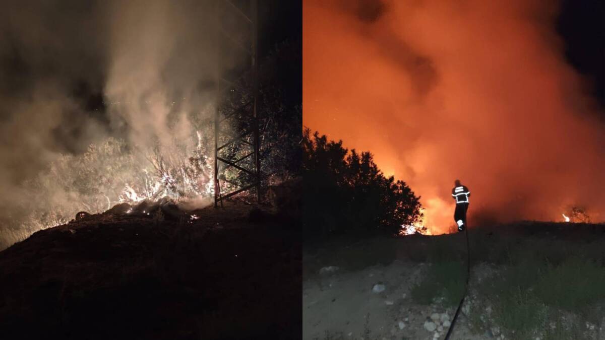 Serinyol Mahallesi’nde Orman Yangını Hızla Söndürüldü