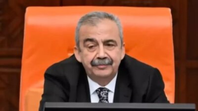 TBMM Başkanvekili ve DEM Parti İstanbul Milletvekili Sırrı Süreyya Önder,