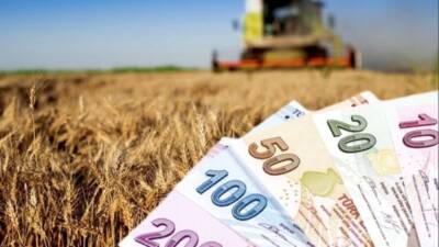 Tarım ve Orman Bakanlığı, çiftçilere yönelik 185 milyon 799 bin
