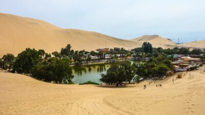 Vahalar, genellikle çöl gibi kuru ve suya ihtiyaç duyan alanlarda