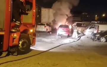 Hatay’ın İskenderun ilçesinde park halindeki bir otomobilin motor kısmında çıkan