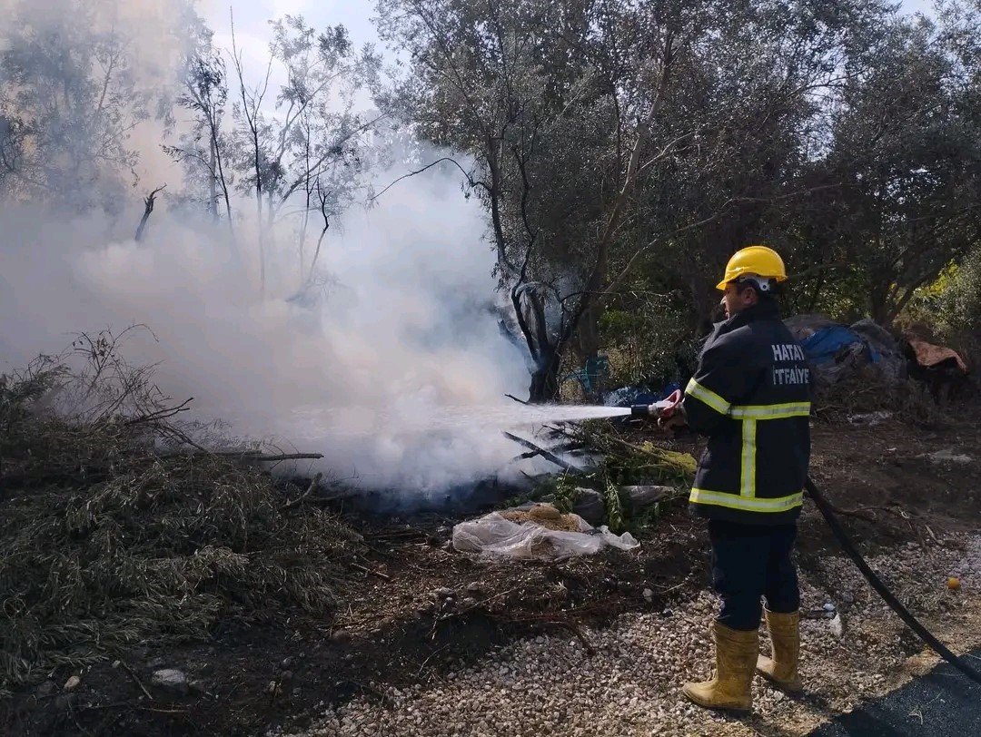 Erzin İlçesinde Zeytinlik Yangını Korkuttu