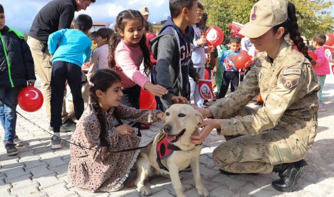 Hatay'ın Hassa ilçesinde Dünya