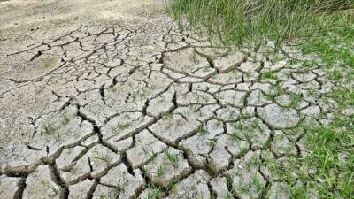 Hükümetlerarası İklim Değişikliği Paneli (IPCC) Başkanı Jim Skea, 1,5 derece