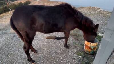 İskenderun Belen’de orman gözetleme kulesi ve TRT TV istasyonu yanında