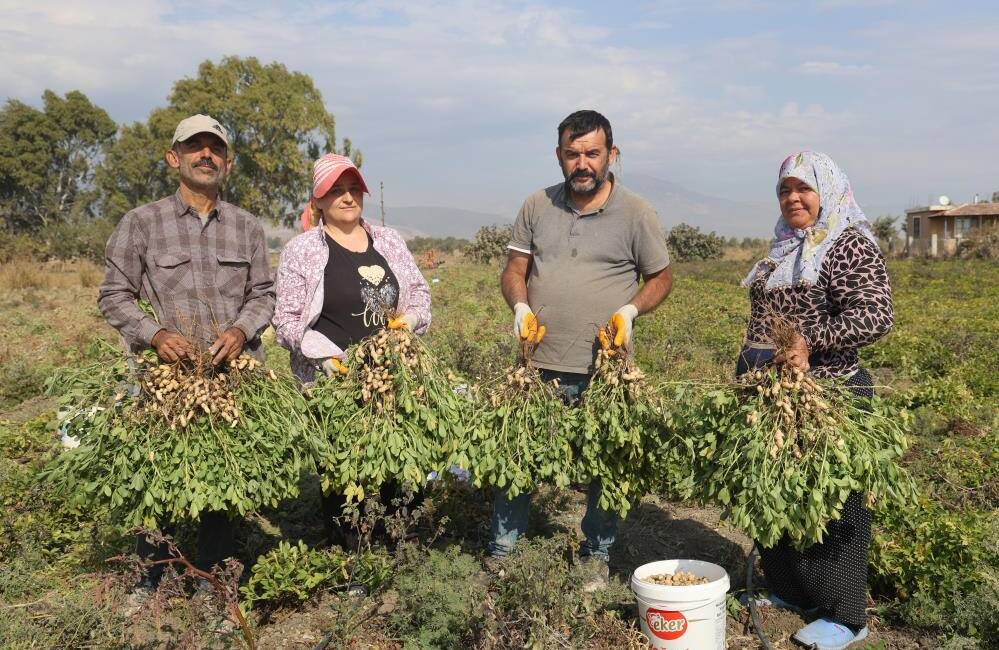 Depremin ardından yaralarını sarmaya