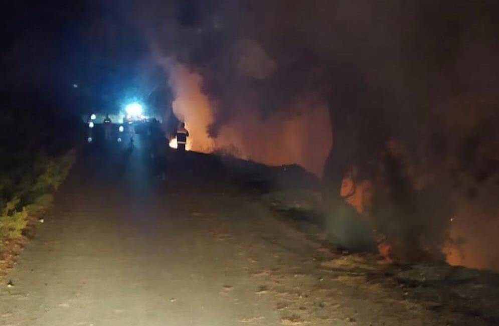 Hatay'ın Dörtyol ilçesindeki orman