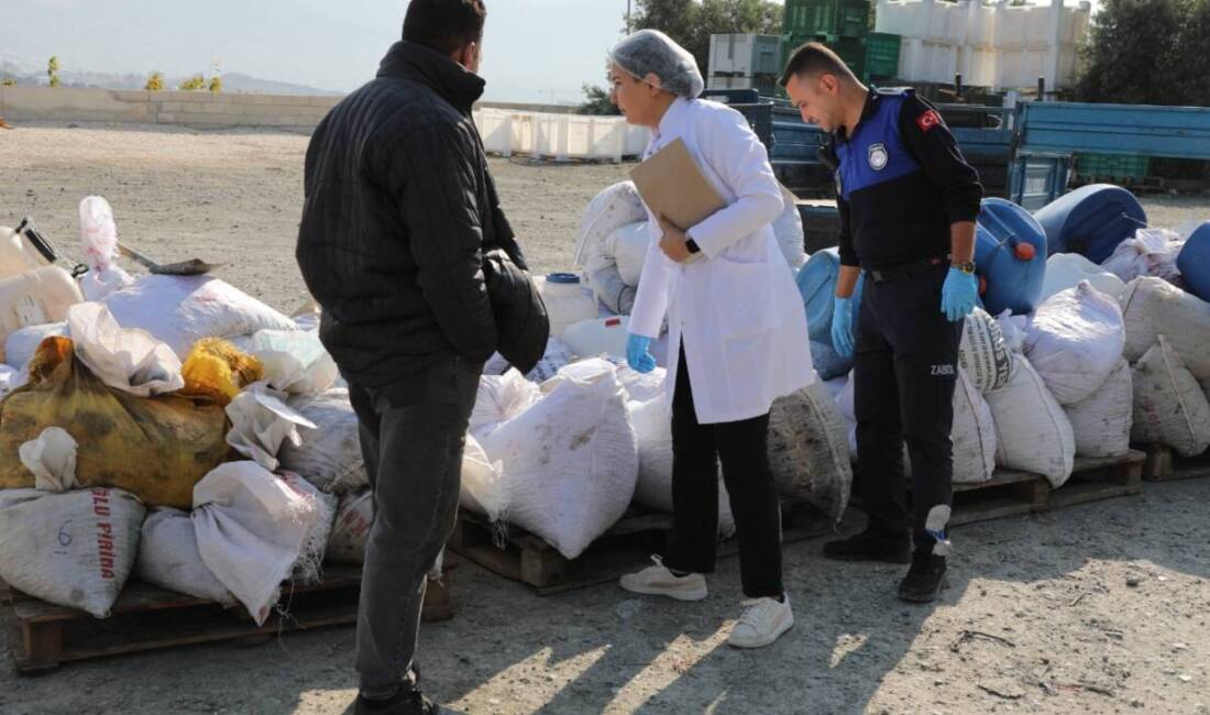 Hatay Büyükşehir Belediyesi, zeytin