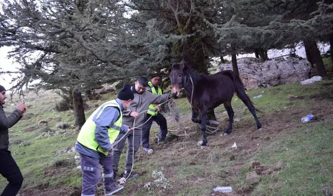 Hatay'ın Belen ilçesinde yaralı