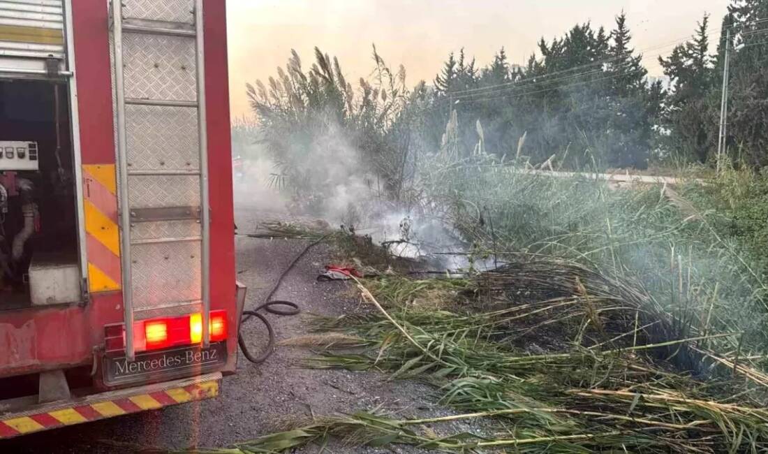 Hatay'ın Arsuz ilçesinde, dere