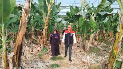 Hatay İl Tarım ve Orman Müdürü Abdurrahman Türkmen, Reyhanlı'da muz