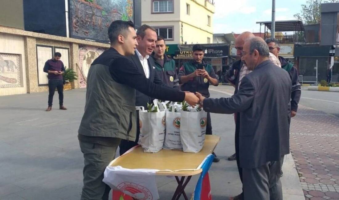 Hatay’ın Erzin ilçesinde, 11