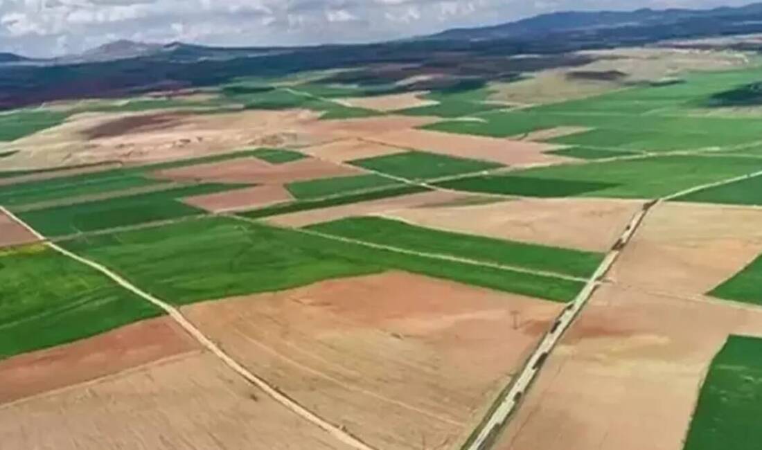 Toplu Konut İdaresi Başkanlığı