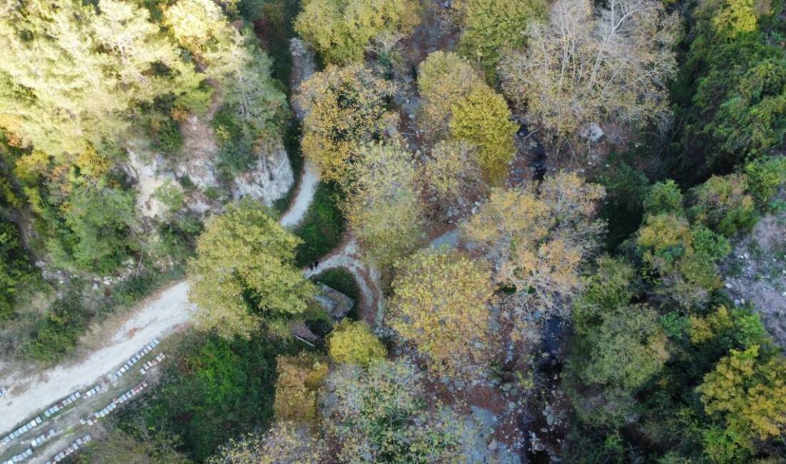 Hatay’ın Dörtyol ilçesi, sonbaharın