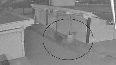 Hatay’ın Reyhanlı ilçesinde galericiler sitesinde şaşkınlık yaratan bir hırsızlık olayı