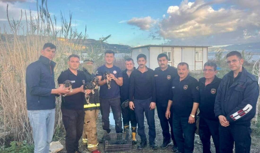 Hatay’ın Samandağ ilçesinde yağmur