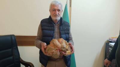 Hatay'ın Samandağ ilçesinde çiftçi Nebil Boğday, Yeni Mahalle’deki bahçesinde yetiştirdiği