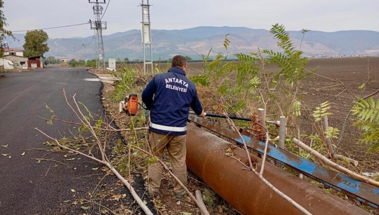 Antakya Belediyesi Park ve