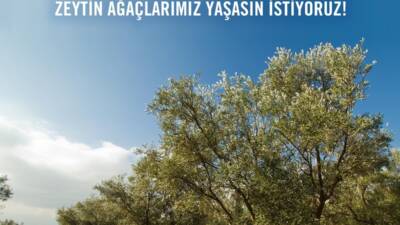 Birleşmiş Milletler Eğitim, Bilim ve Kültür Örgütü (UNESCO) tarafından her