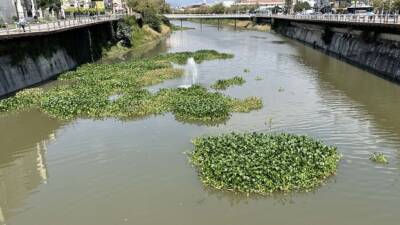 Hatay’da çevre sorunlarına bir yenisi daha eklendi. Asi Nehri’nde zaman