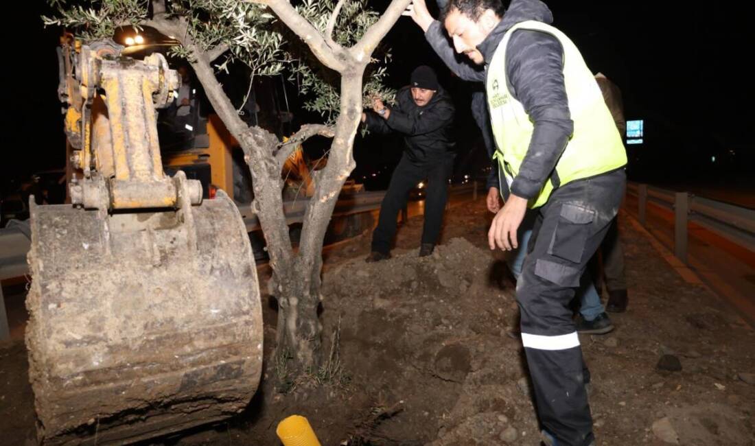 Hatay Büyükşehir Belediyesi (HBB),