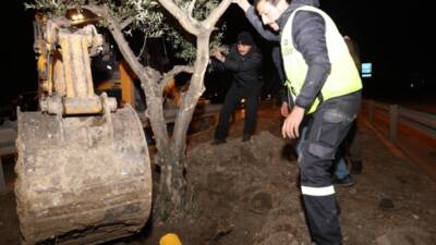 Hatay Büyükşehir Belediyesi (HBB), şehirdeki yeniden inşa ve iyileşme sürecini